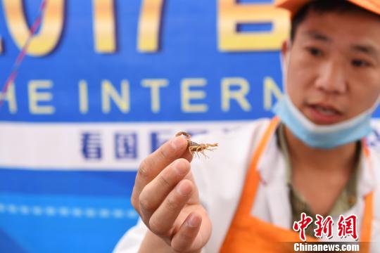 �D��̩�����x���ϰ�����������x�������G�� �z