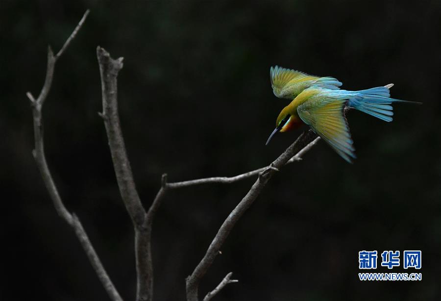 �������Ї�����1�������仢�B�T�����ҡ�