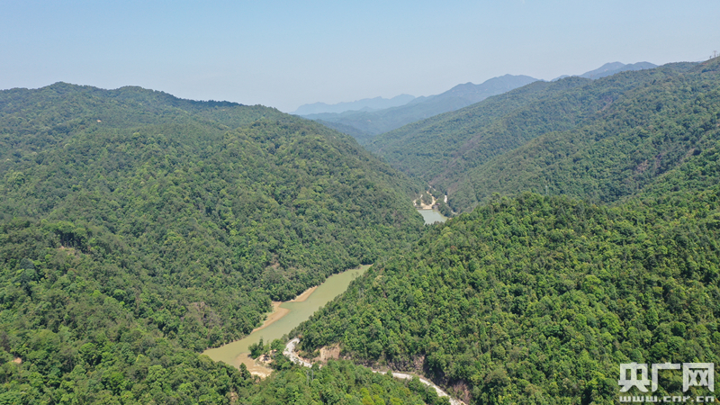 11��ʯ픱��o�^(q��)���� (1)_����.jpg