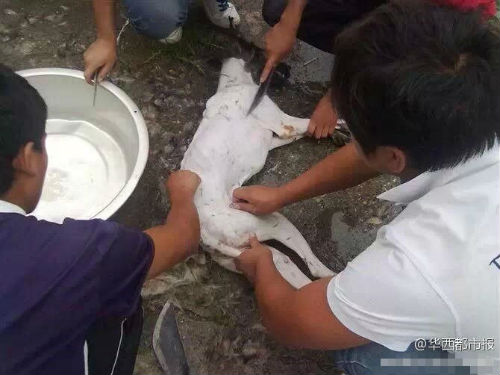 �W������Ű������Ƭ���ؑ��Q�P��ƨ�¡�