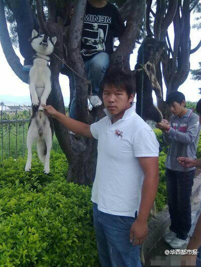 �W������Ű������Ƭ���ؑ��Q�P��ƨ�¡�