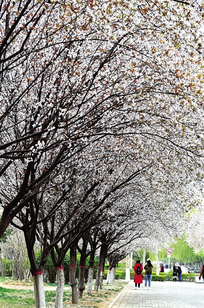 �ο�̫���У�o����܇���� ���M(f��i)�������������?