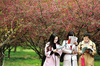 �ο�̫���У�o����܇���� ���M(f��i)�������������?