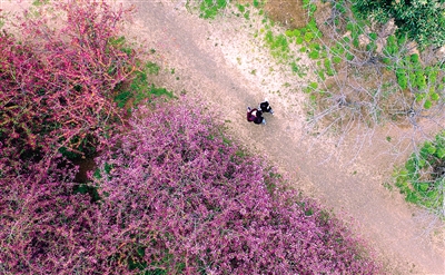 �ο�̫���У�o����܇���� ���M(f��i)�������������?