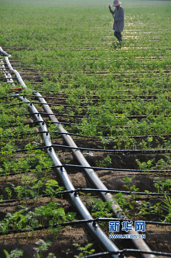 ���σ��S:׌ÿһ��ˮ���l(f��)�]���Ч��