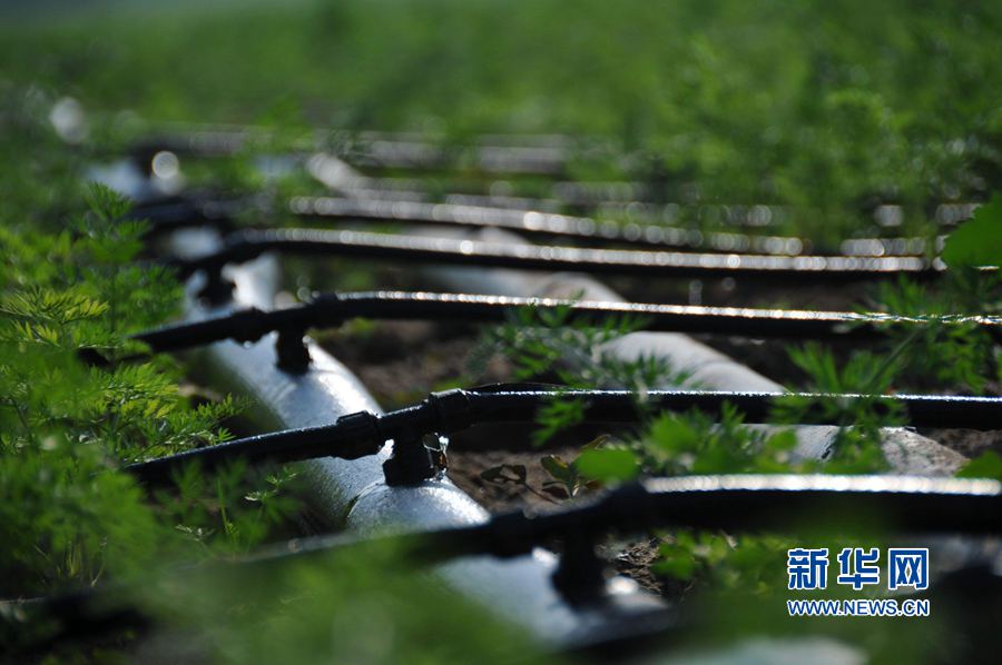 ���σ��S:׌ÿһ��ˮ���l(f��)�]���Ч��