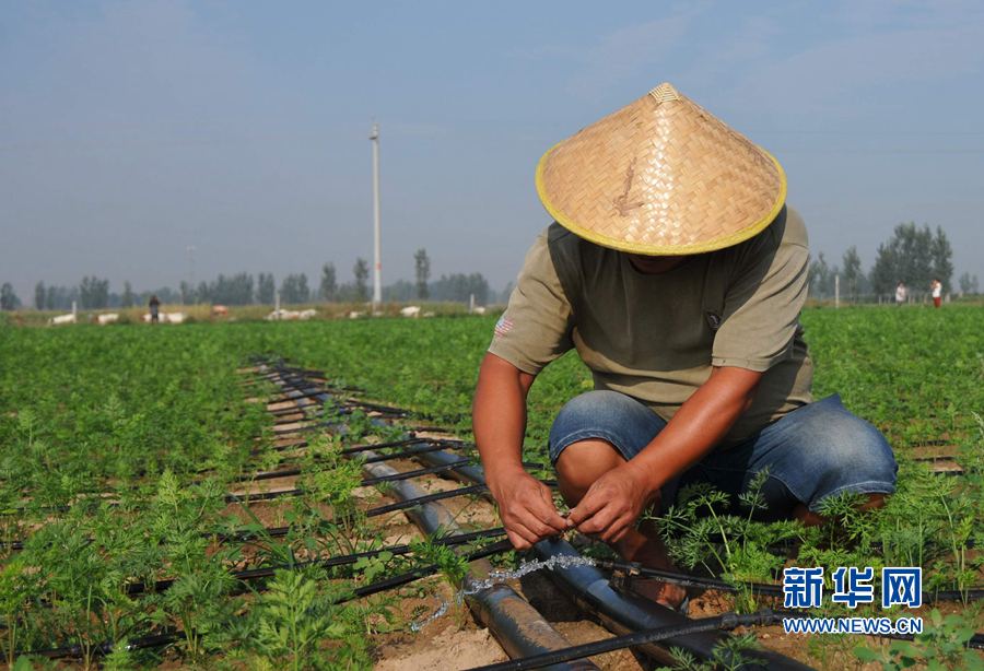 ���σ��S:׌ÿһ��ˮ���l(f��)�]���Ч��