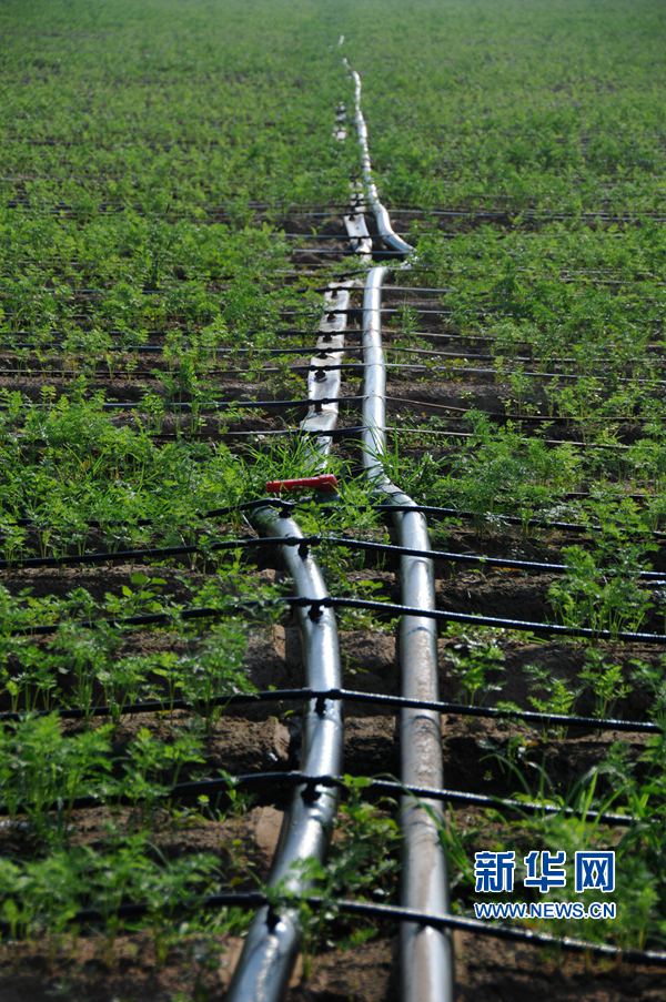 ���σ��S:׌ÿһ��ˮ���l(f��)�]���Ч��