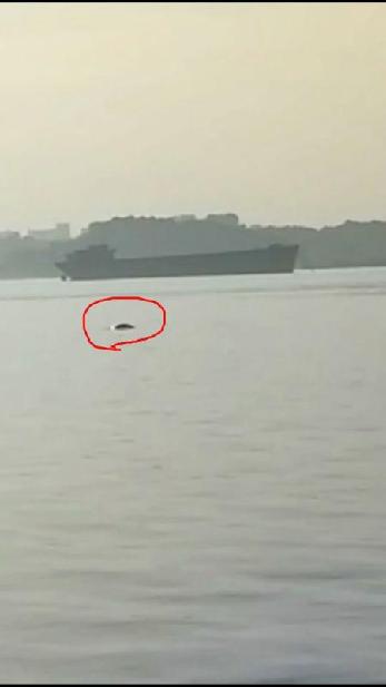 �c���鿴����ԭ�D