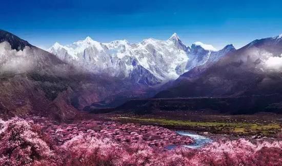 ���꣡��ȥ�p��̤�� ��ô�����𴺹�էй