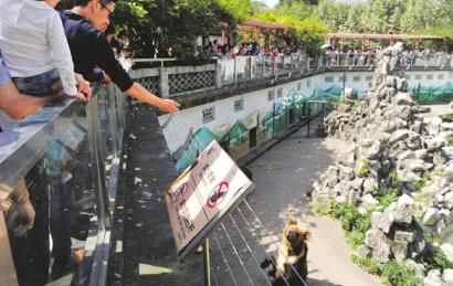 2日,成都動物園,游客不顧禁止標語,紛紛向動物喂食。