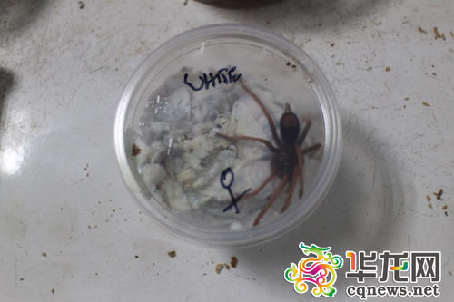 ���ث@��֩�롣