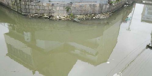 �㽭�������f��ˮһҹ׃�t �h(hu��n)����:������(�D)