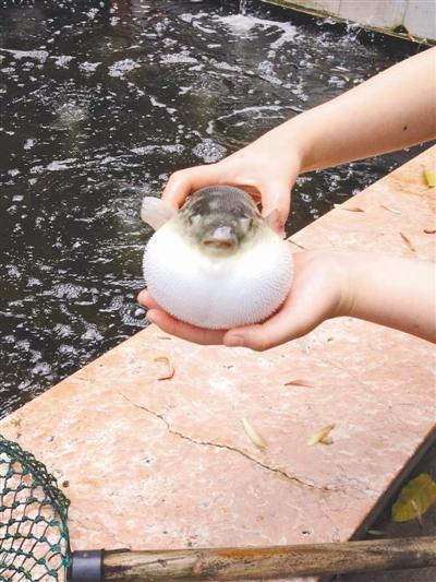 ���Ⱥ������򌢷��_ ���е���ʳ�ͳ��MICU