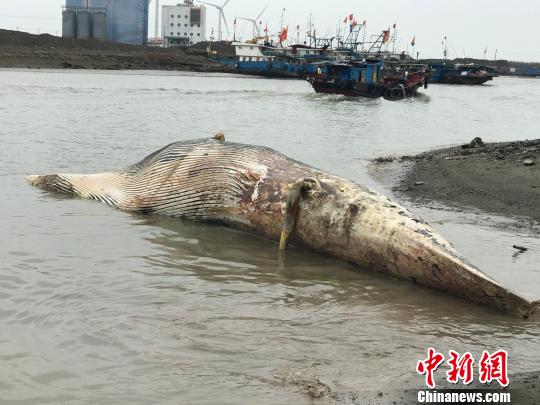 �Ϻ������L�~����˱������AӋ�ĕr�����