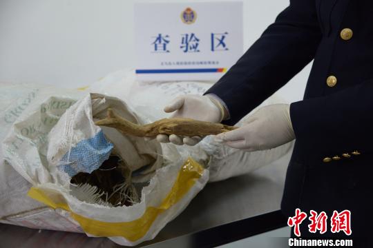 義烏郵路口岸首次截獲國(guó)家二級(jí)瀕危珍稀植物沉香木