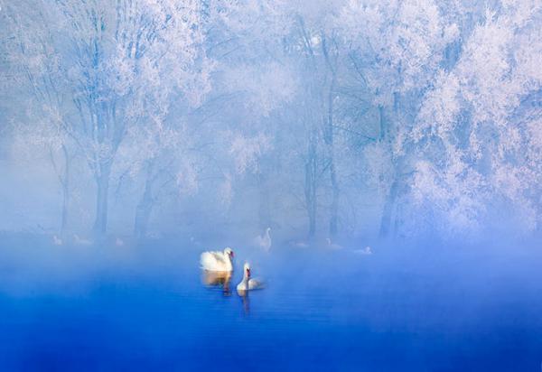 ���F��؟(z��)�� �F���P(gu��n)�ۡ����Č�ȫ��(gu��)�zӰ��ِ����ِ�@��(ji��ng)���νҕ�