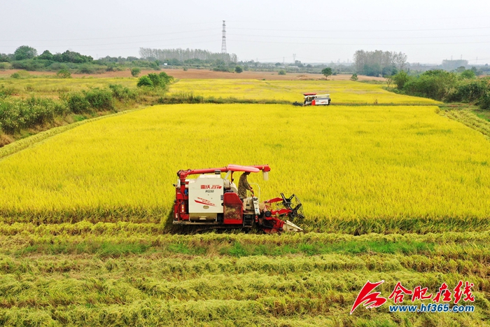 ���Ƚ��S  �w���w�}(c��ng) (1)