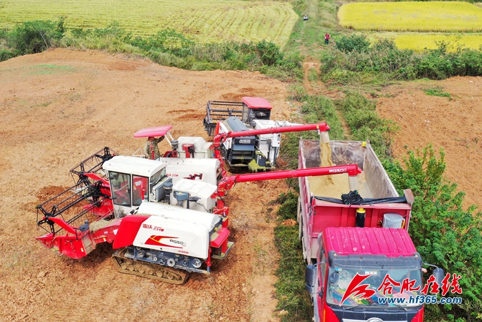 ���Ƚ��S  �w���w�}(c��ng) (7)